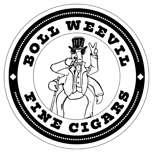 BWFC-logo-site-icon-512