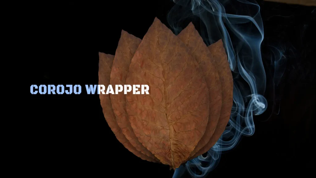 Corojo cigar leaf wrapper