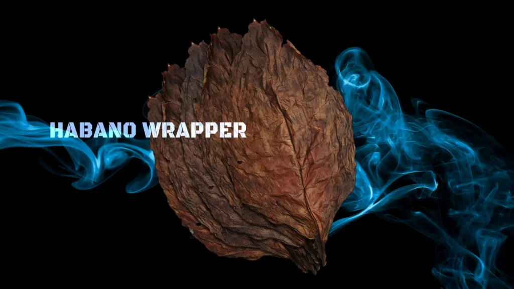 Habano cigar leaf wrapper