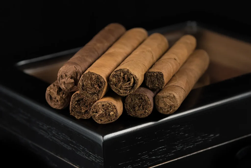 Choosing Between Habano and Corojo