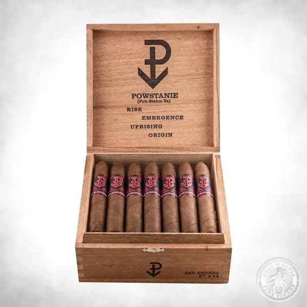 Powstanie San Andreas Belicoso box-24