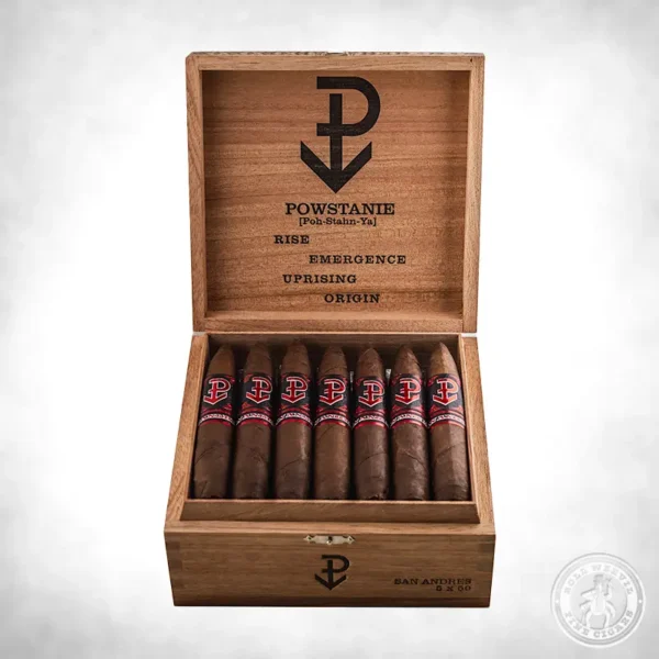 Powstanie San Andreas Perfecto box-24