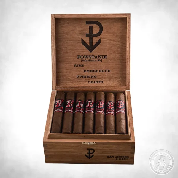 Powstanie San Andreas Robusto box-24