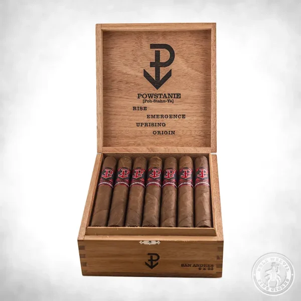 Powstanie San Andreas Toro box-24