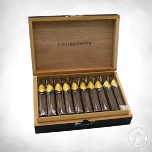 CAVALIER BII Petit N2 open box-20